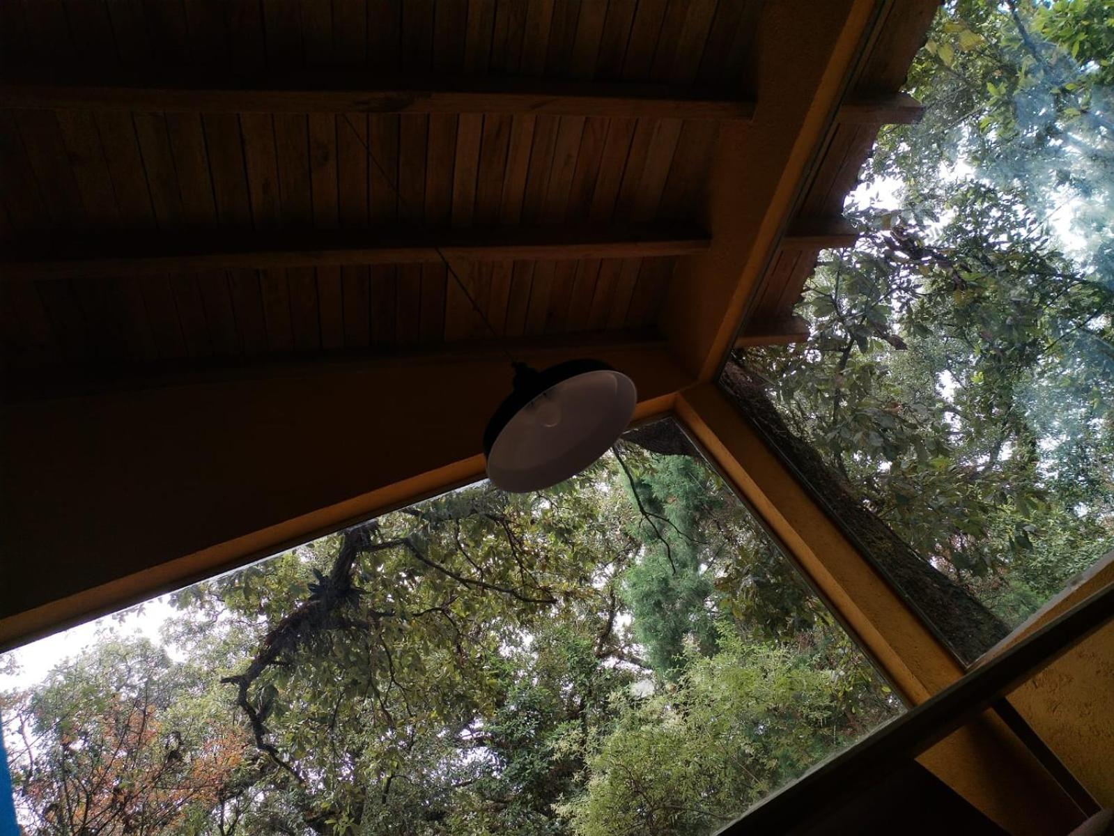 La Cabana Azul Al Fondo Del Bosque De Tepoztlán Esterno foto