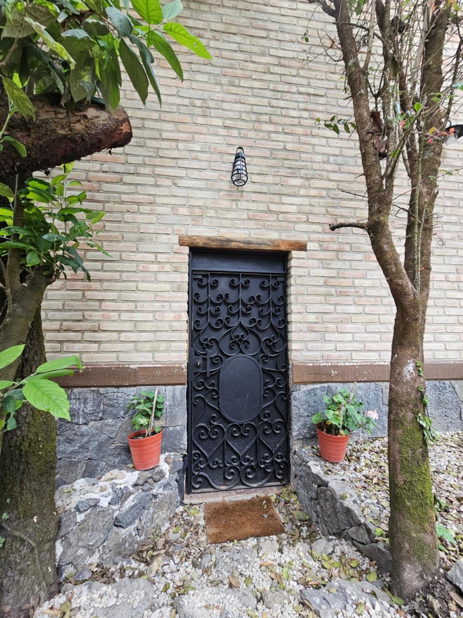 La Cabana Azul Al Fondo Del Bosque De Tepoztlán Esterno foto